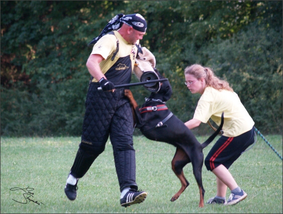 Summer training camp - Jelenec - 2007